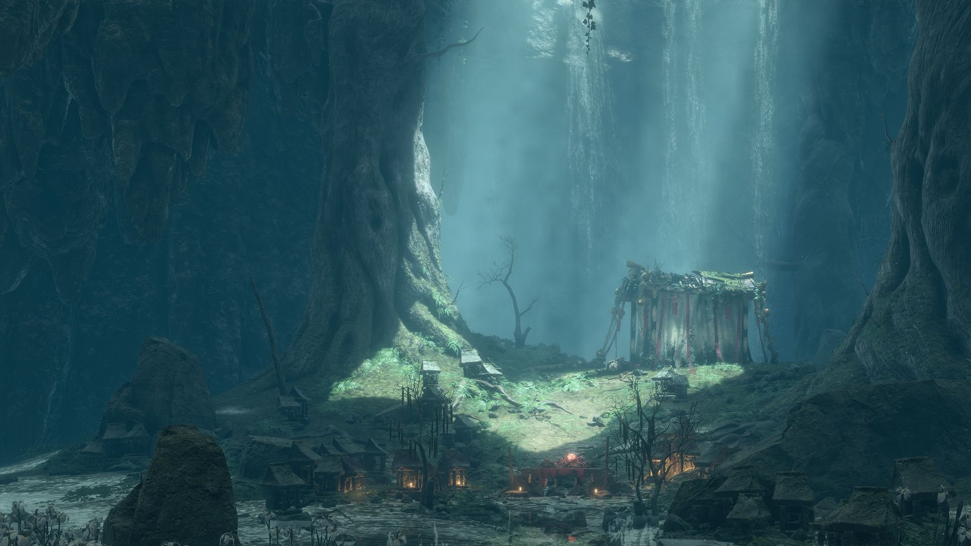 森林 年度版 截图14