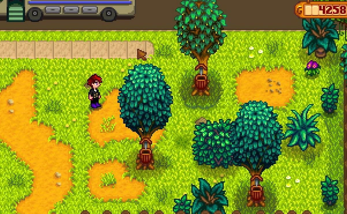 勇者斗恶龙11 截图2