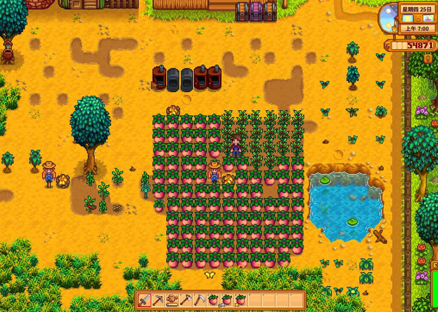 勇者斗恶龙11 截图13