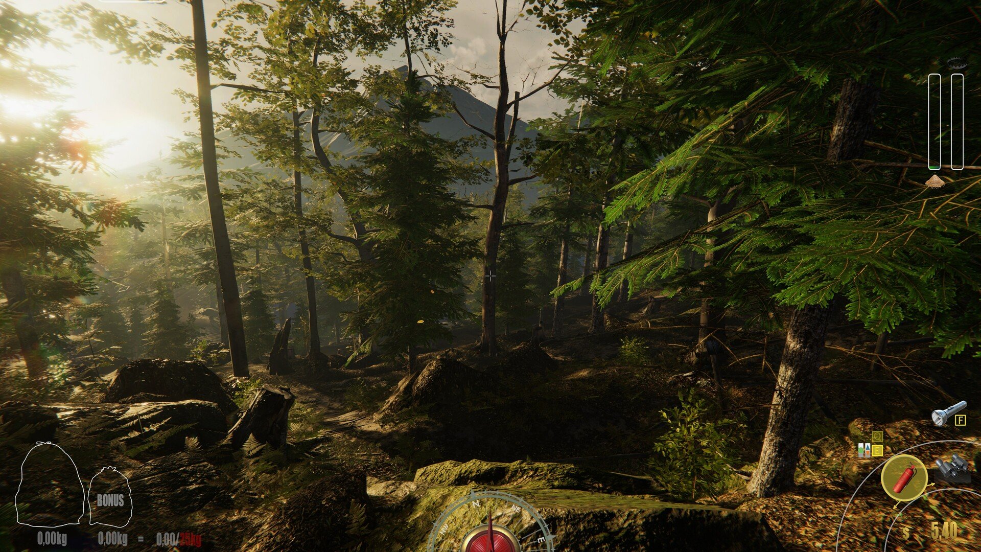 饥荒 年度版 截图21